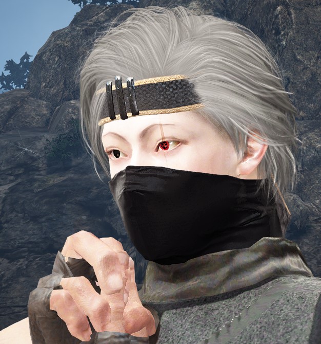 Hatake Kakashi | Ninja | Beauty Album | Garmoth.com - BDO Companion