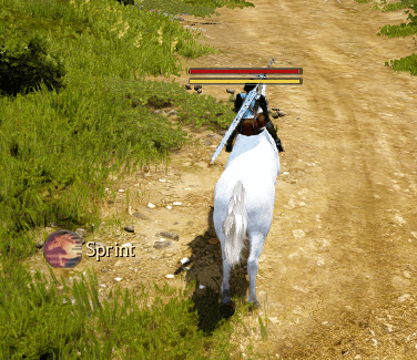 Black Desert Horse Sprint