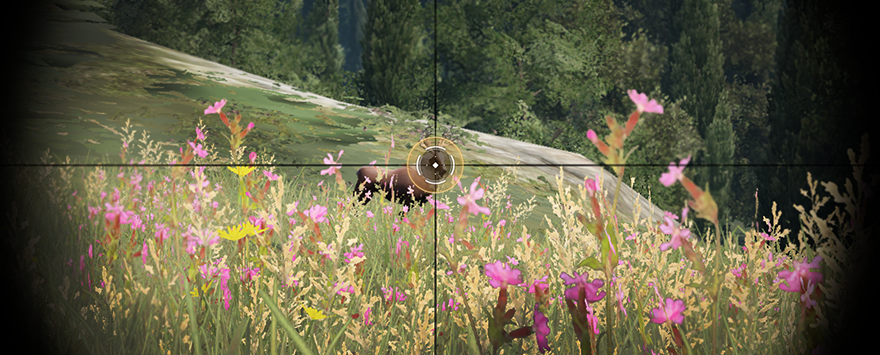 Sniper Rifle Hunting