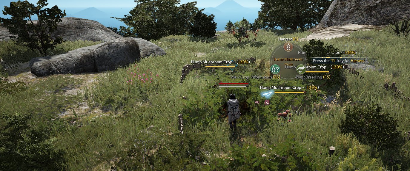 Olvia Academy - Farming | Guide | Garmoth.com - BDO Companion