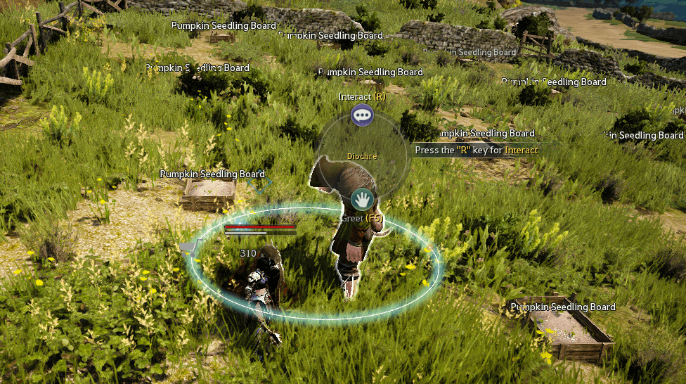 Black Desert Hiring Diochre 