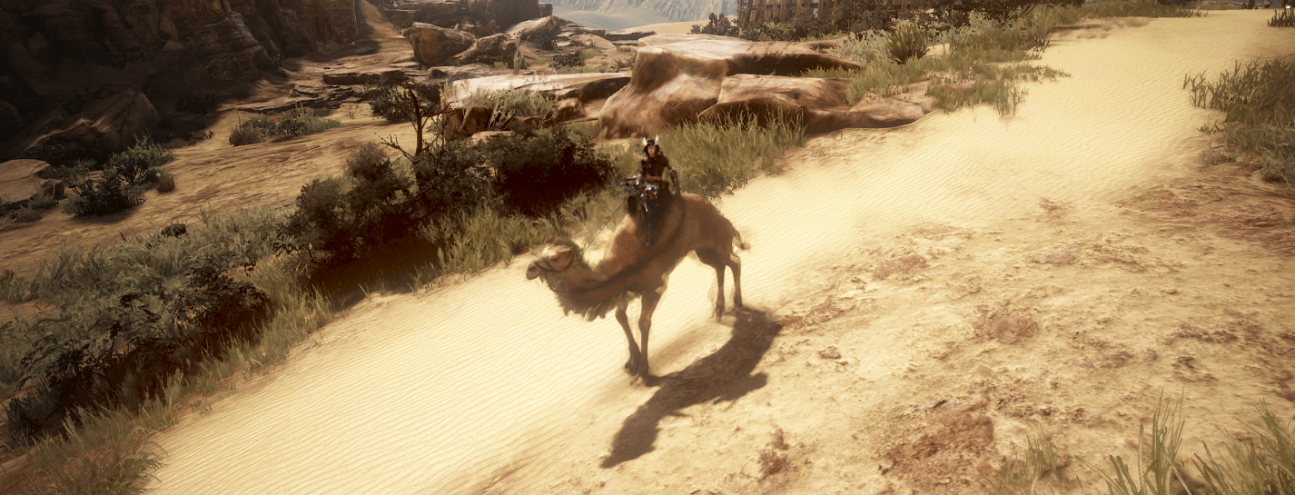 black desert camel guide
